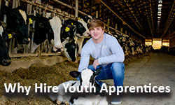 Go to Why Hire Youth Apprentices